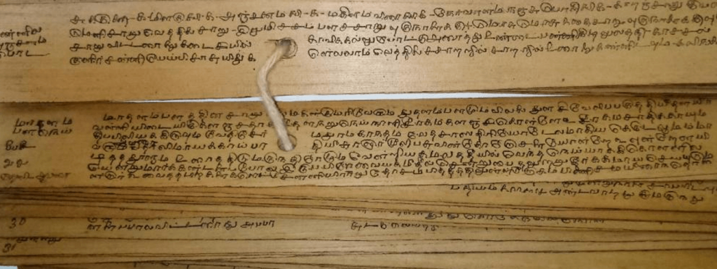 Nadi Jothidam palm leaf astrology reading