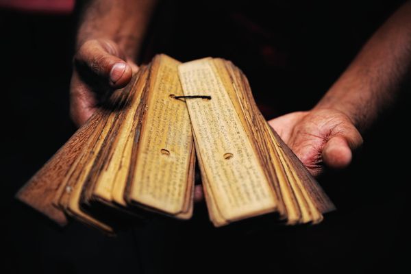 original nadi jothidam near me