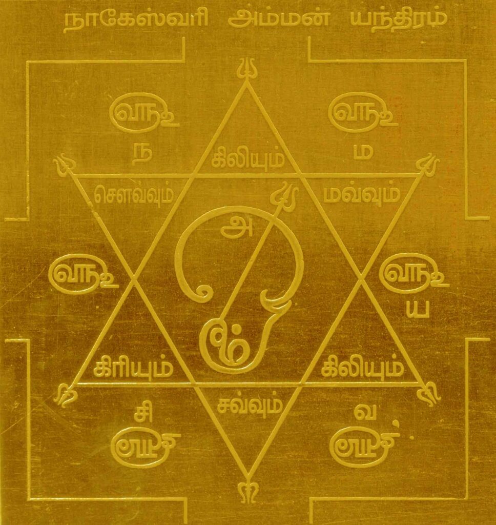 Vaitheeswaran Koil Nadi Astrology palm leaf reading